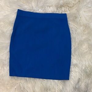 Elegant Blue Women's Skirt